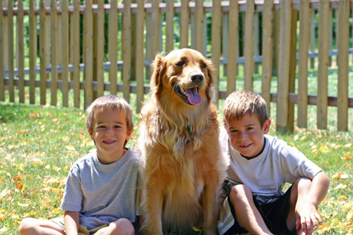 And, do you feel comfortable with your kids playing in a pesticide-saturated environment?